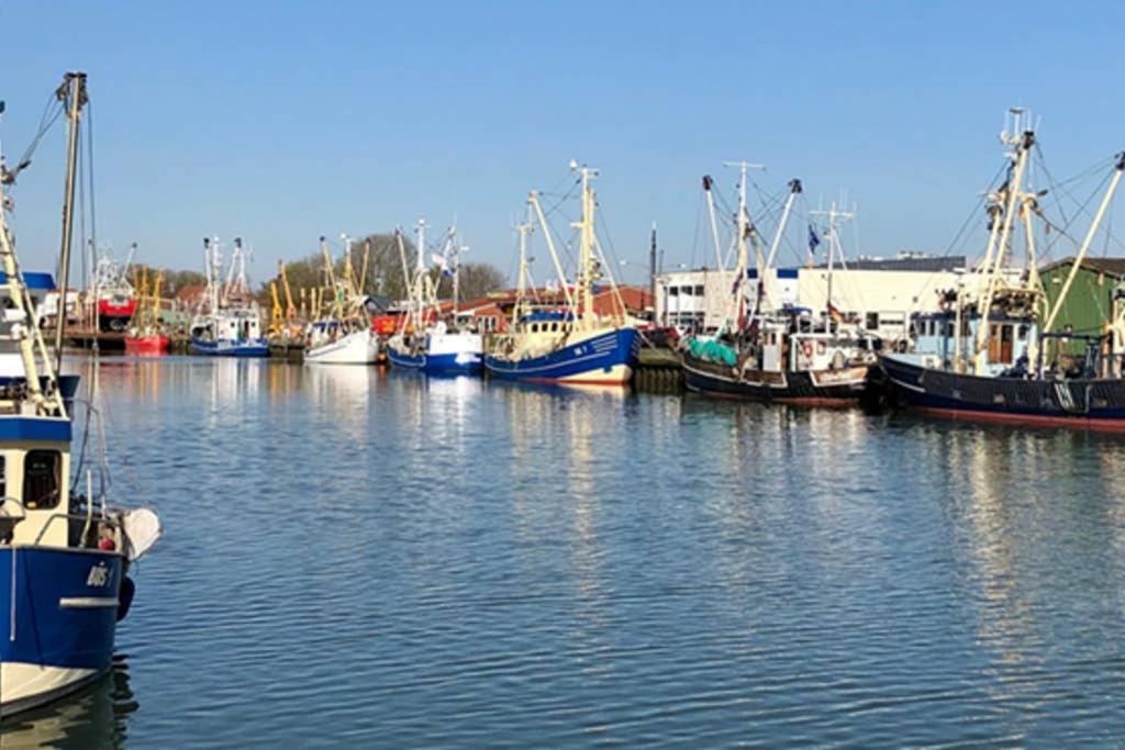 Nordseeglueck In Buesum Nahe Familienlagune Экстерьер фото